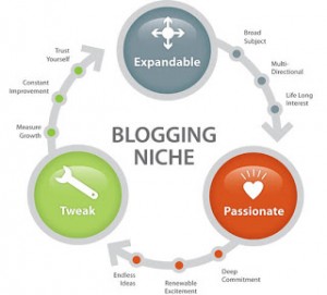 blogging niche