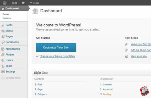 How to install wordpress on localhost wamp server2