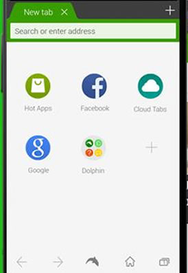 dolphin browser